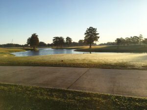 Golf Course Image with Balls